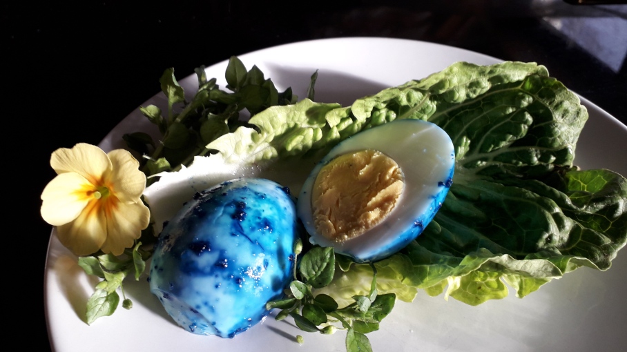 gekochtes Ei blau mit Wildkrautbeilage